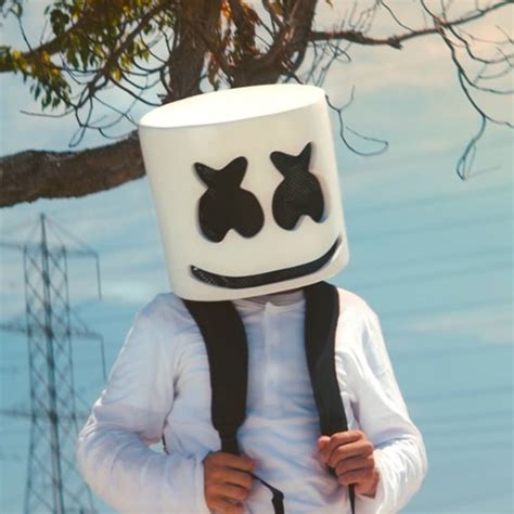 1. 10+ Marshmello Tracks: Your Ultimate Prelove Playlist