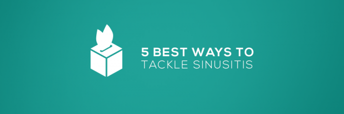 1. 5 Pro Tips To Tackle Sinusitis Today