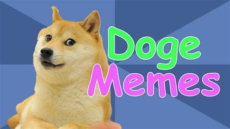 1. Ultimate Guide: 10 Secrets Of The Doge Government