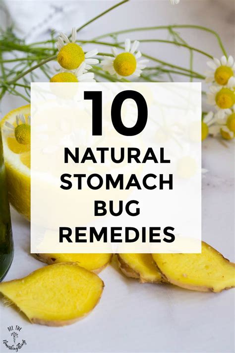 1. Ultimate Guide: 7 Powerful Remedies For Stomach Bugs