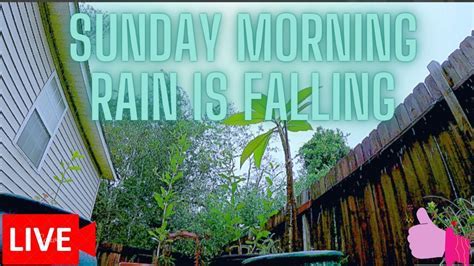 10+ Facts About Sunday Morning Rain Is Falling: A Comprehensive Guide