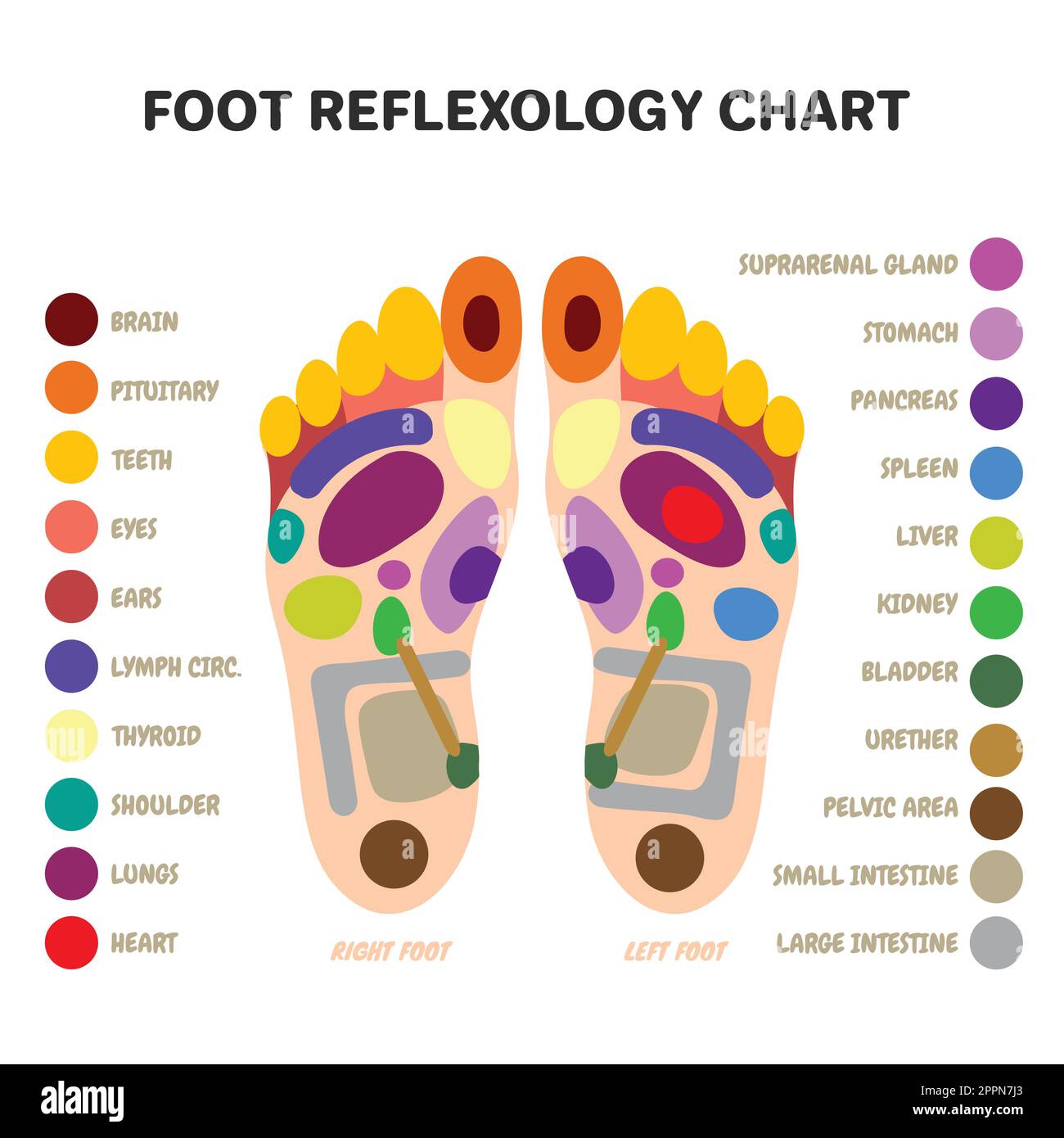 10 Interesting Benefits Of Foot Reflexology Foot Reflexology