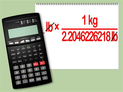 138 Pounds Convert To Kilograms For Easy Comparison Accdis Portal