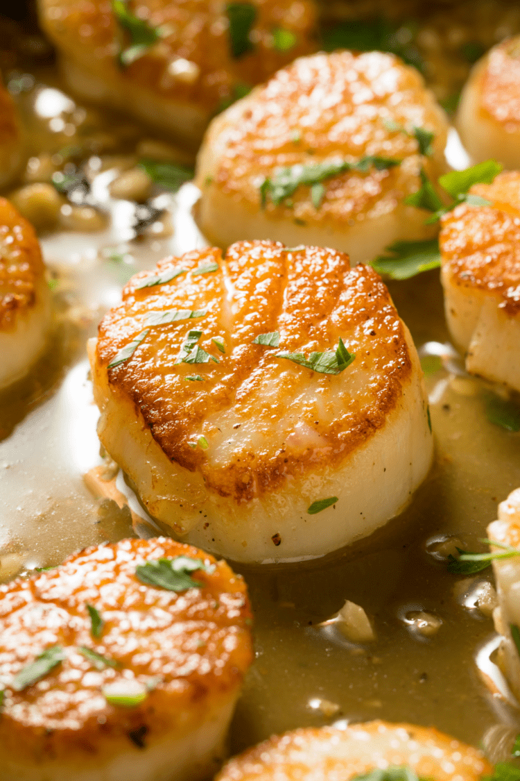 15+ Tasty Seafood Dishes: Your Ultimate Ebtfriendly Tour