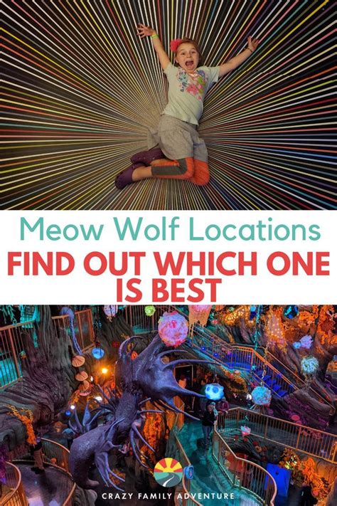 15+ Tips For Ebt Savvy Meow Wolf Fans: Unlocking Hidden Discounts