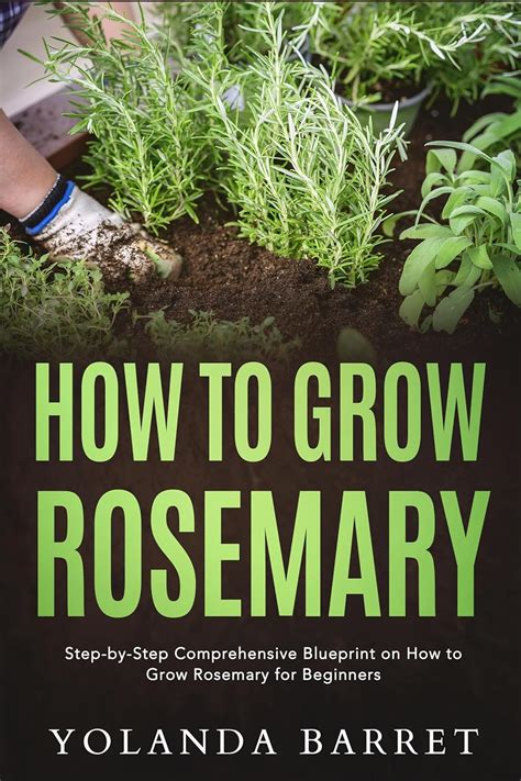 15+ Ways To Grow Your Love: A Comprehensive Rosemary Journey