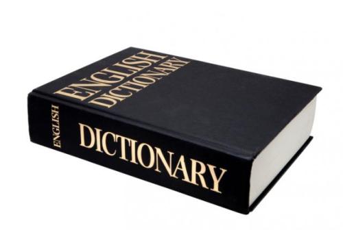 150+ Dictionary Facts: An Essential Reference Resource