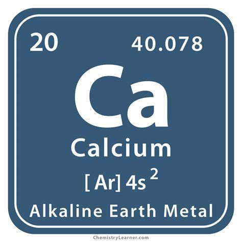 17 Calcium Storage Locations: Essential Facts You Need To Know