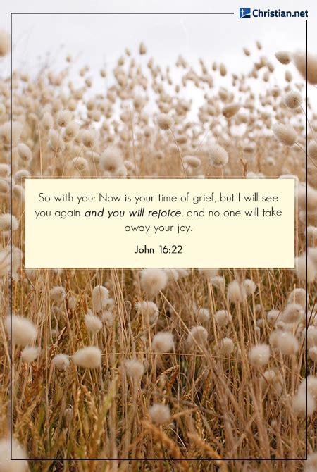 2. 10 Powerful Scripture Quotes For Coping With Loss Now