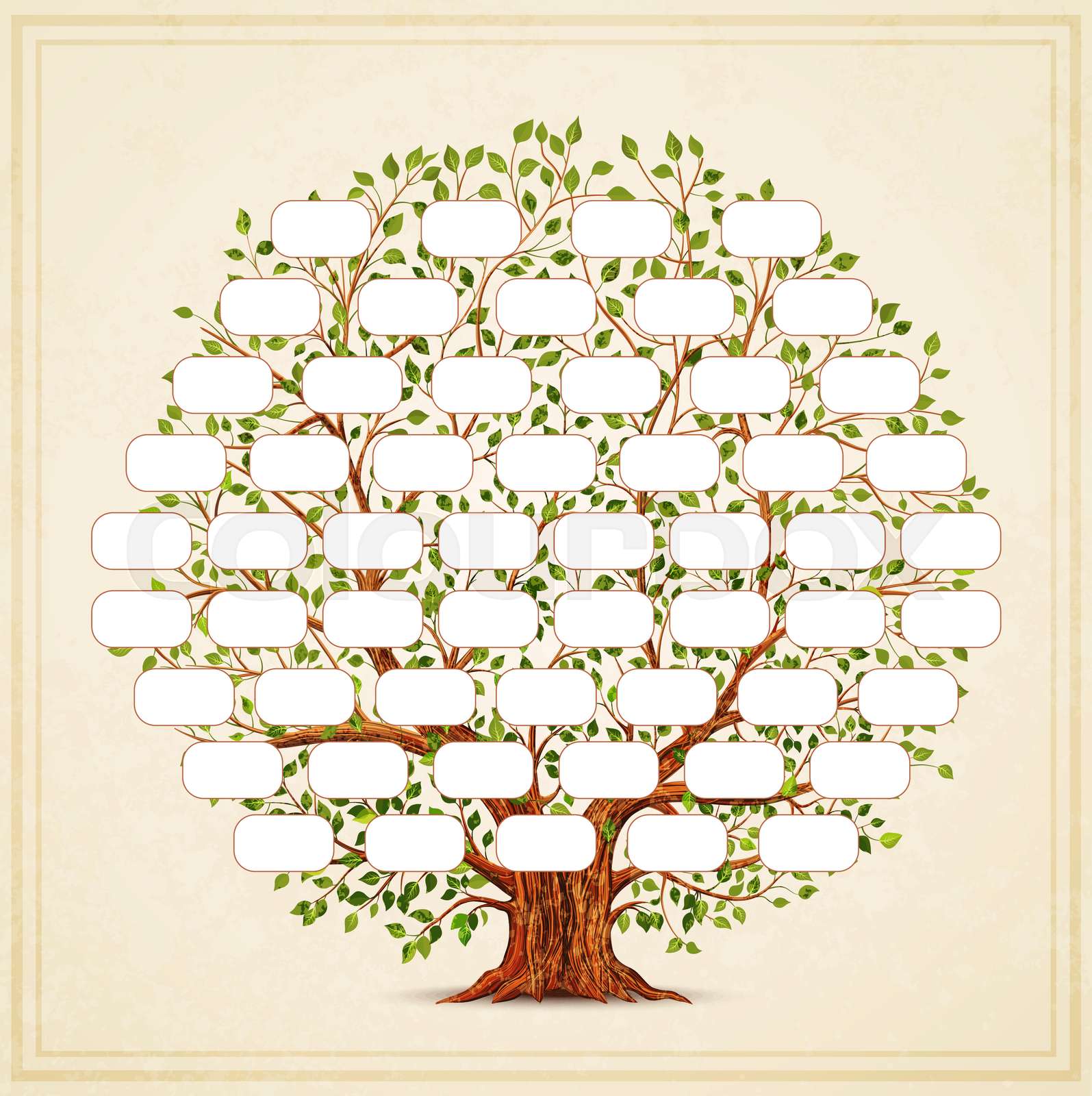 2. 7 Pro Tips For An Expert Family Tree Design Today