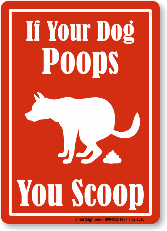 2. Ultimate Guide: 7 Signs Of Blood In Your Poop