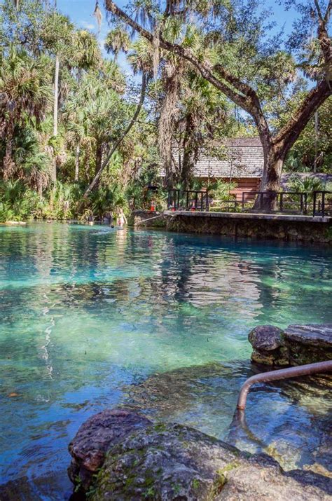 5 Natural Springs Of The Ocala National Forest Florida Travel Guide