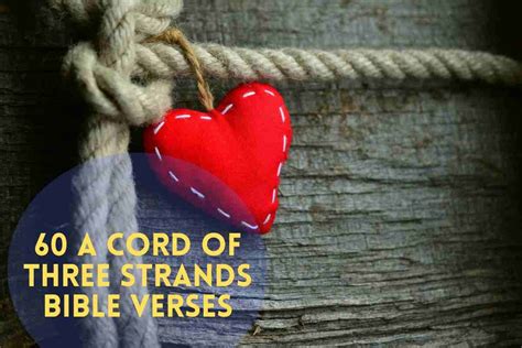 60 Powerful A Cord Of Three Strands Bible Verses Bible Verses Of The Day