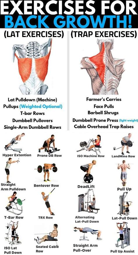 7 Best Lower Back Exercises To Build Strength