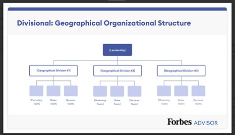 7 Organizational Structure Types With Examples Forbes Advisor