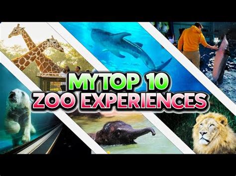 8 Tips To Design The Perfect Ebt Columbus Zoo Experience