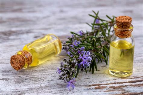 9 Best Essential Oils For Hair Growth And Healthy Scalp Hair Buddha