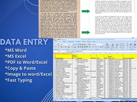 A Perfectly Typed Word Or Excel Upwork