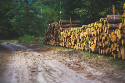 Agriculture Food & Natural Resources