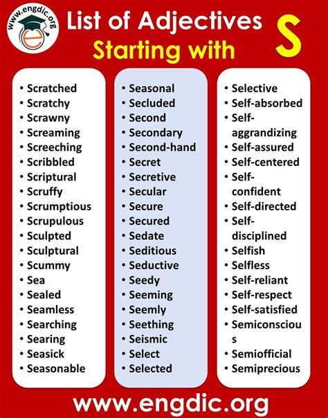 All Adjectives That Start With S Sorted List Engdic