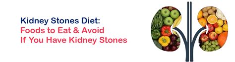 Avoid Kidney Stones Meet Your Best Urologist In Bangalore