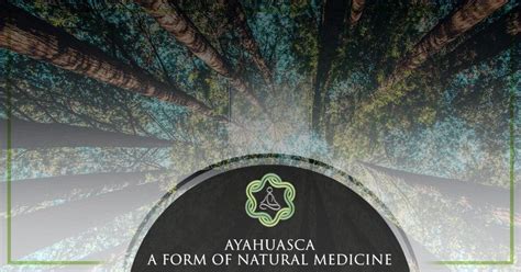 Ayahuasca A Form Of Natural Medicine Soul Quest Church