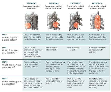 Back Pain Relief Guide Tbi Health