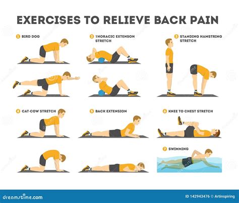 Back Pain Relief Workout