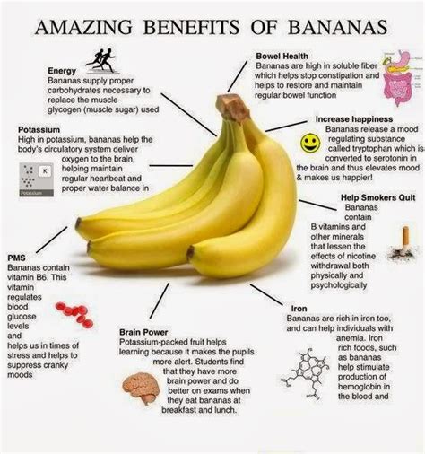 Banana Healthy Nutrition Facts Fruithealthguide