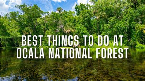 Best Things To Do At Ocala National Forest Fl Rv Lifestyle