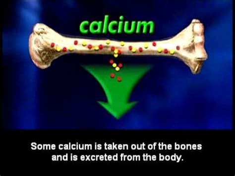 Calcium And Bones Youtube