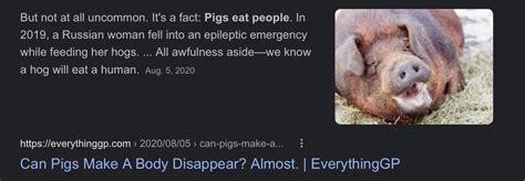 Can Pigs Eat Humans