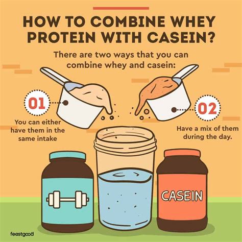 Can You Mix Whey Protein And Casein Follow These Tips Feastgood Com