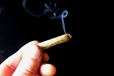 Cannabis And Male Fertility Here S How Smoking Marijuana Affects Sperm