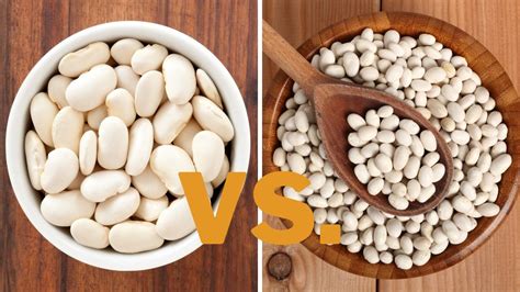 Cannellini Beans Vs Navy Beans