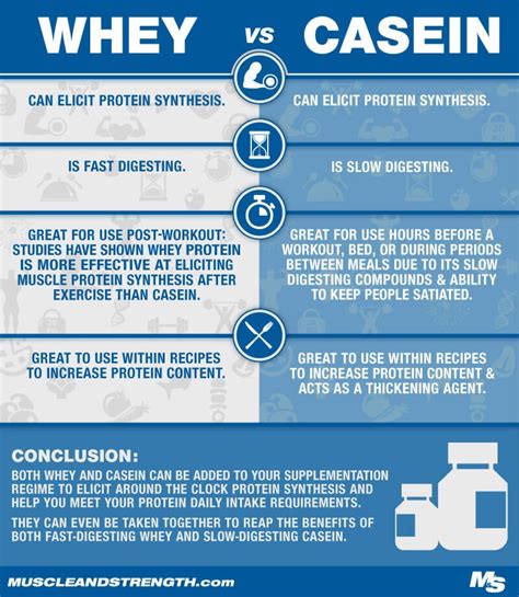 Casein Protein Expert Guide Types Benefits Dosages Faq