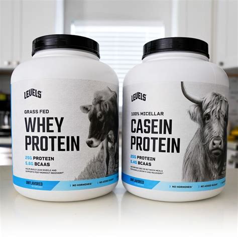 Casein Vs Whey The Similarities And Differences Explained I 2024