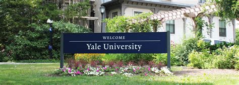 9 Ways To Create The Perfect Yale Application Now - IMMUNO ONCOLOGY