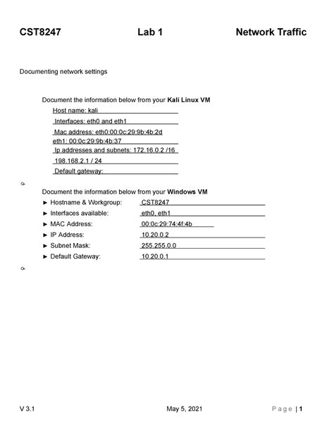 Cst8247 Lab01 Network Traffic Documenting Network Settings Document