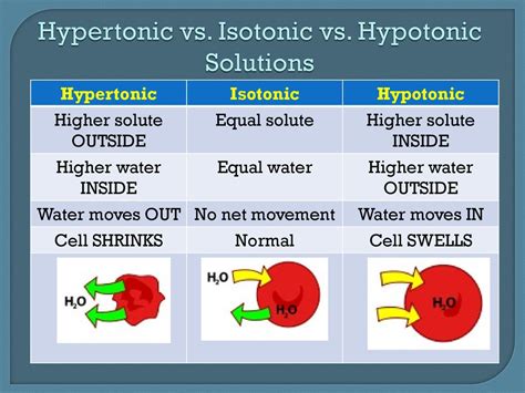 Describe Isotonic Hypertonic And Hypotonic Solutions