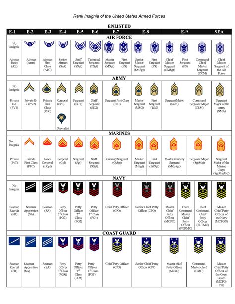 Design Ultimate Air Force Officer Ranks Guide Now Vexl Trezor