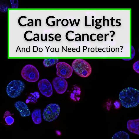 Does Light Cause Cancer