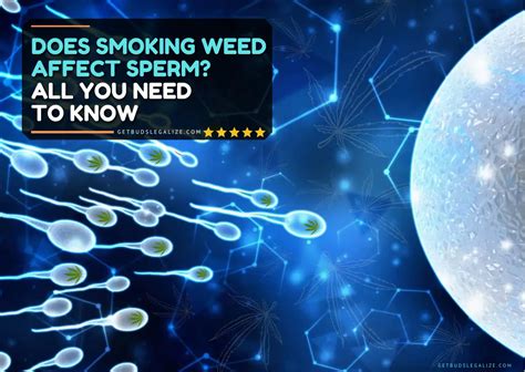 Does Smoking Weed Affect Sperm All You Need To Know Getbudslegalize Com