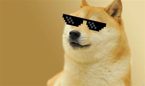 Doge Meme Wallpapers Wallpaper Cave