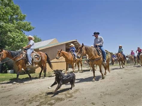 Dude Ranch Vacations Unleash Your Inner Cowboy