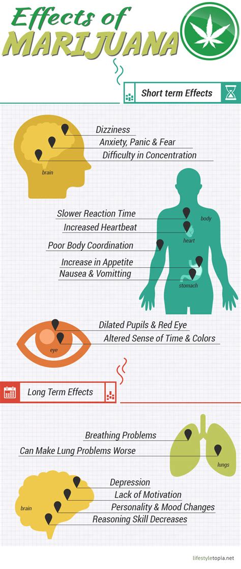 Effects Of Marijuana Infographic Lifestyletopia