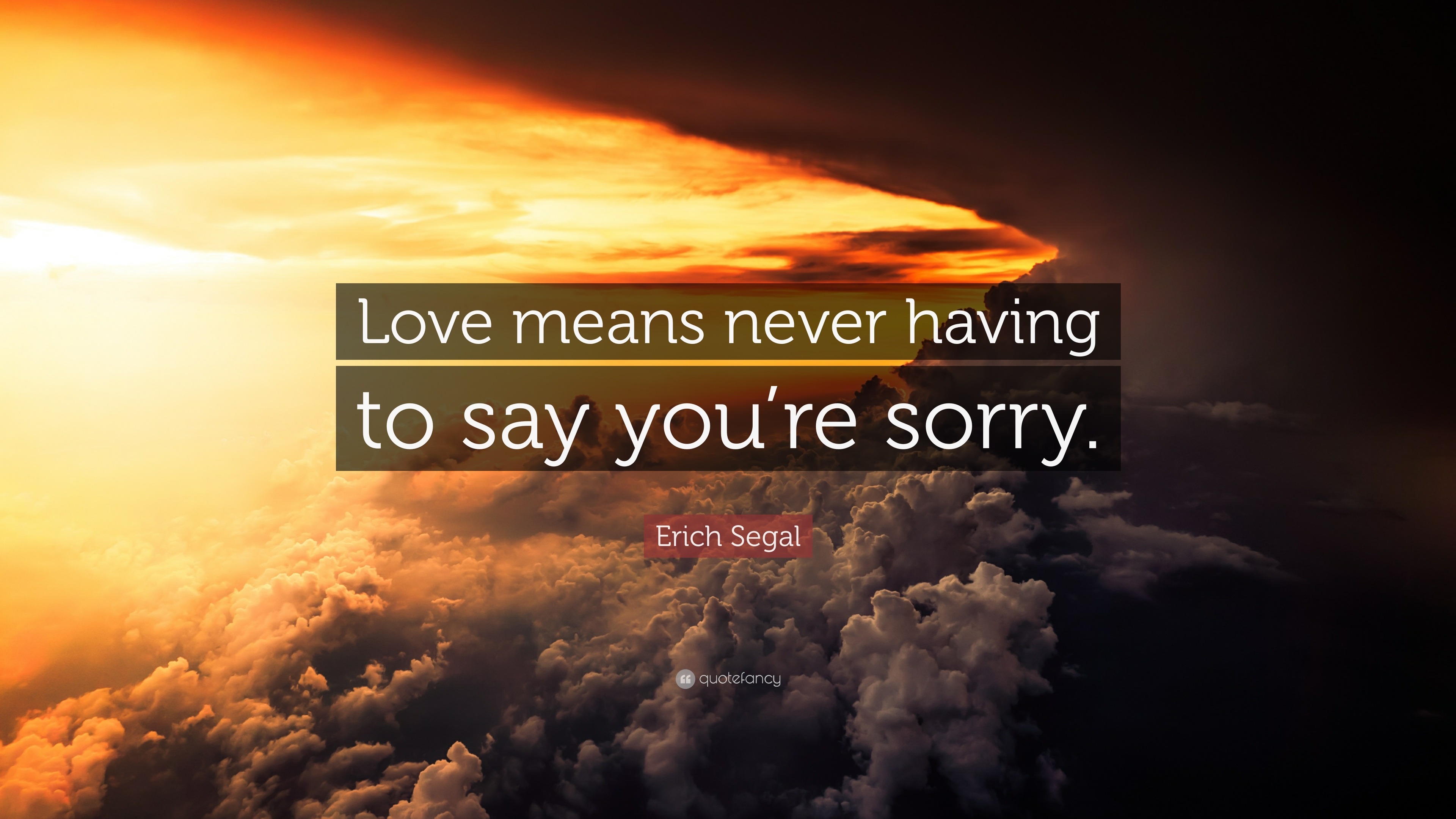 Elegant Love Means Never Having To Say You Re Sorry Quote Love Quotes