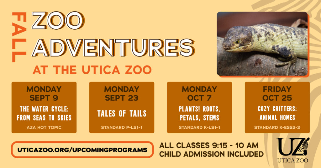 Essential Guide: 15+ Zoo Adventures With Ebt Deals