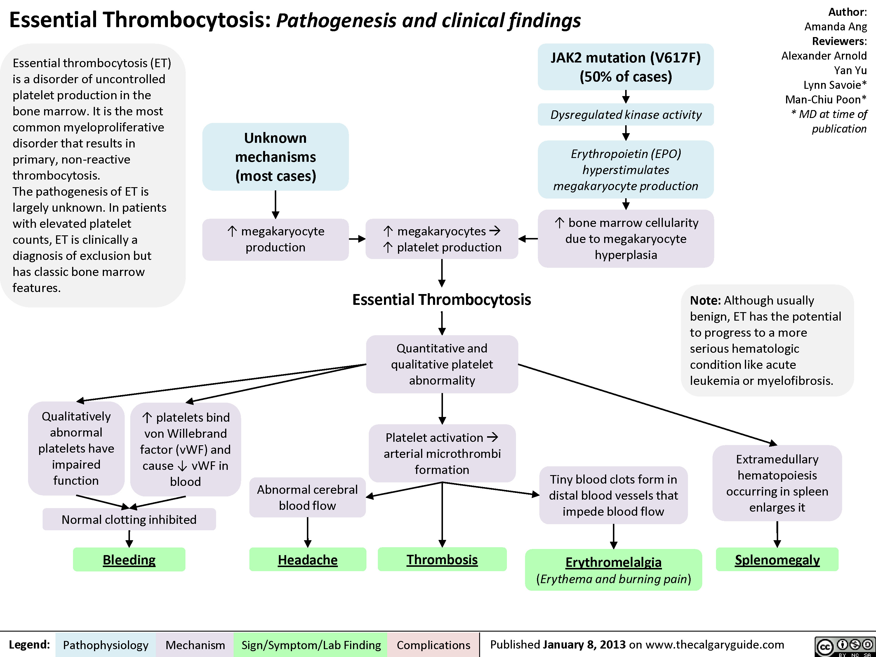 Essential Thrombocytosis Et Calgary Guide