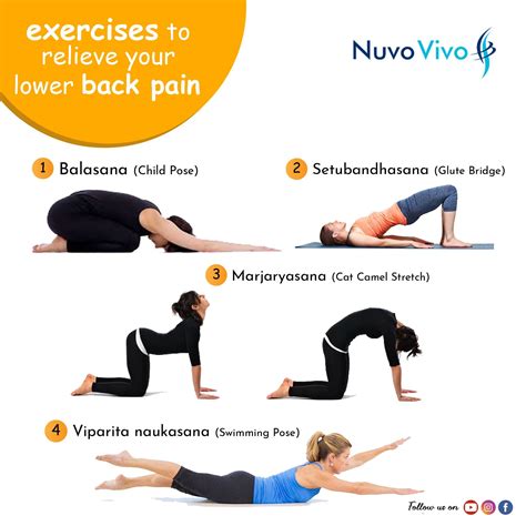 Exercise For Low Back Pain